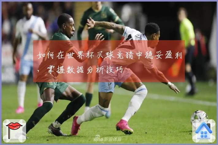 如何在世界杯买球竞猜中稳妥盈利，掌握数据分析技巧