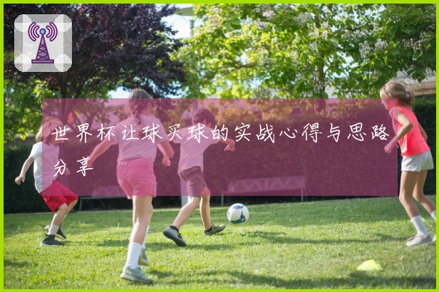 世界杯让球买球的实战心得与思路分享