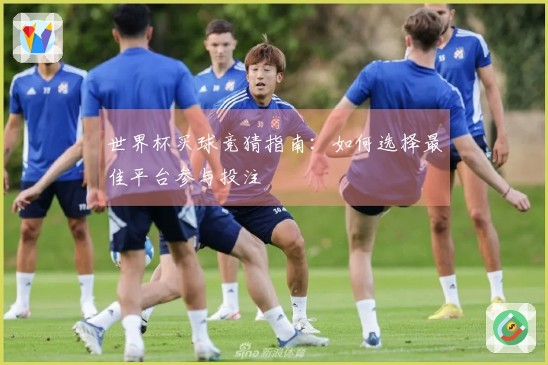 世界杯买球竞猜指南：如何选择最佳平台参与投注