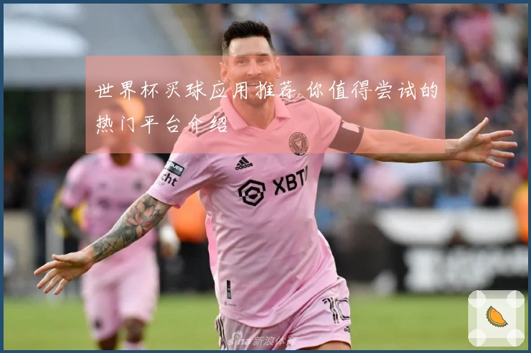 世界杯买球应用推荐 你值得尝试的热门平台介绍